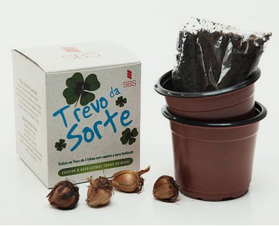 Kit Cultivo - Trevo de 4 Folhas