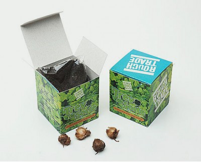 Kit Cultivo - Trevo de 4 Folhas - Trade